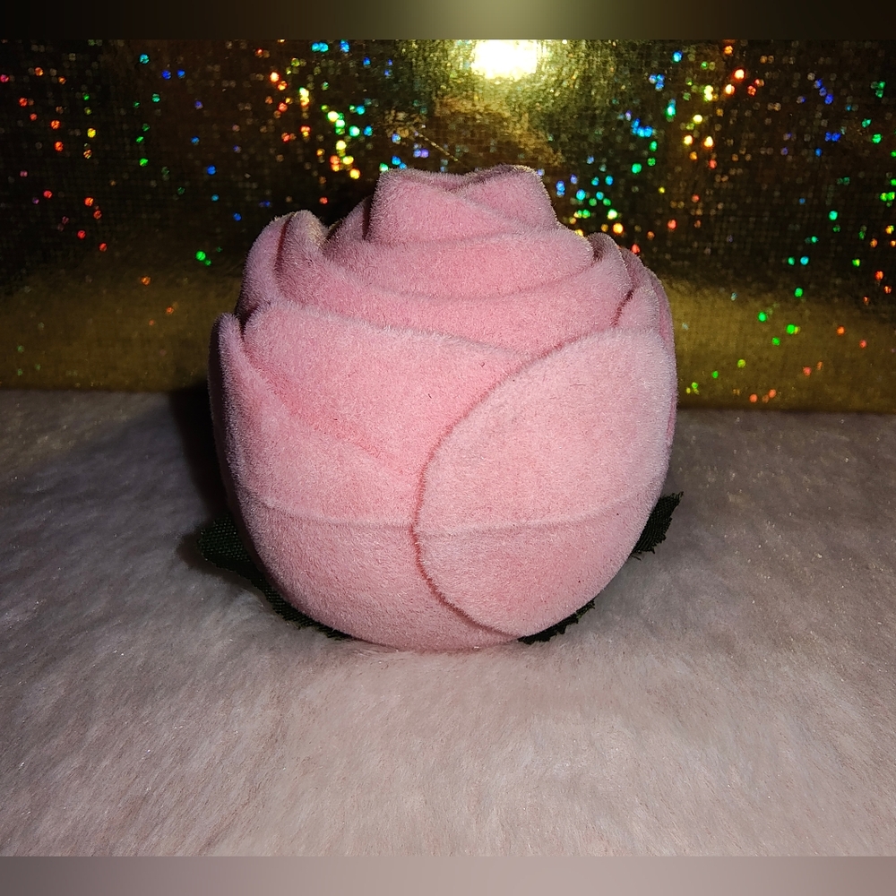 Two pair of stud earring with a beautiful box